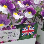Plants for Europe Sussex
