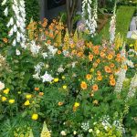 Plants for Europe UK