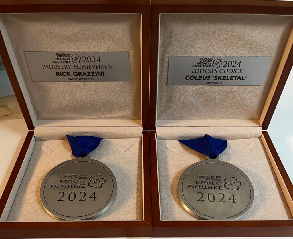 Two medals side by side